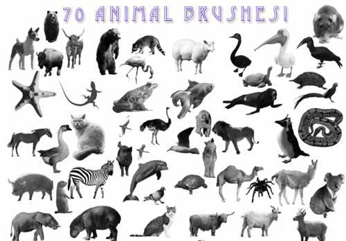 animal brush tool photoshop free download