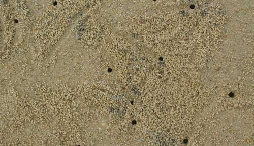 sand background