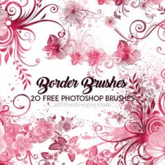 20 Flower Border Brushes for Photoshop