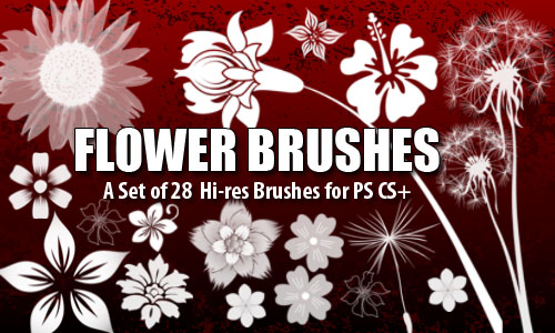 flower brushes