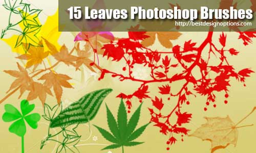 15 Exclusive Leaves Photoshop Brushes