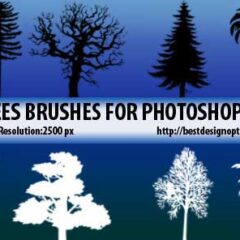 25 Exclusive Tree Photoshop Brushes for Nature Designs