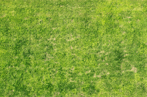 Grass Textures 22 Free Images To Download