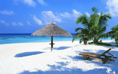 summer desktop wallpapers