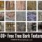 400+ High-Quality Tree Bark Textures to Download Free