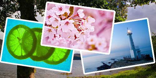 summer desktop wallpaper