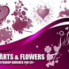 21 Heart Shapes and Flower Photoshop Brushes