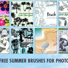 200+ Cute Summer Clip Art Photoshop Brushes