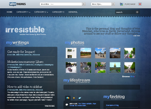 photography website templates
