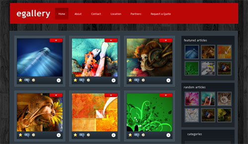 photography website templates
