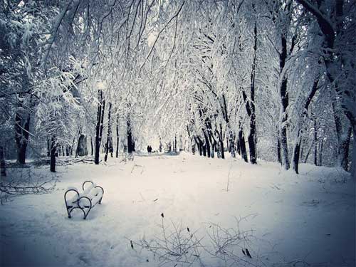 winter scene pictures
