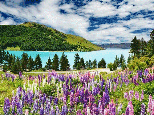 20 Nature-Inspired Spring Desktop Wallpapers