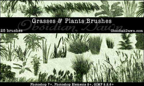 grass brush psd