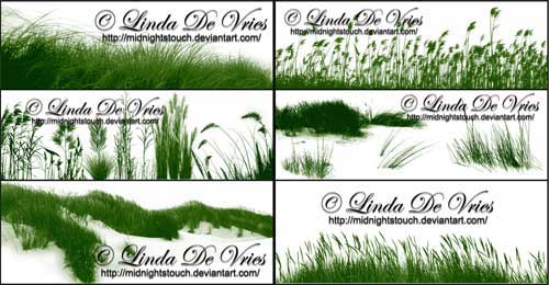 realistic grass brush photoshop