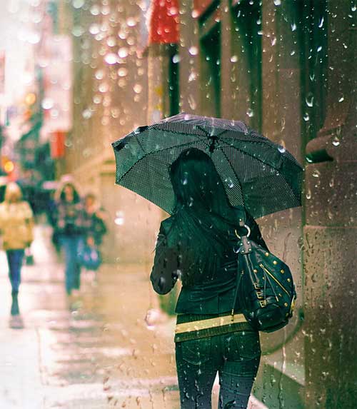 Rain Photography: 25 Rainy Day Photo Examples