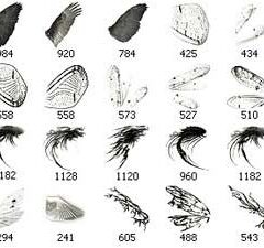 400+ Wings Clip Art Brushes for Photoshop