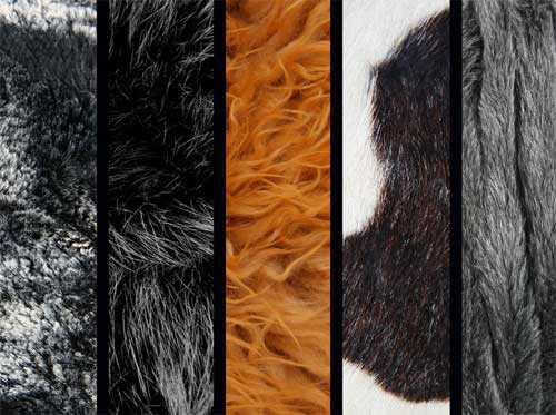 fur textures