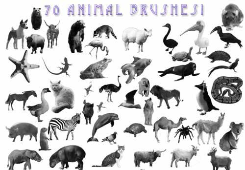 Animal Photoshop Brushes: 600+ Free Images of Animals