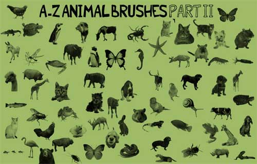 Animal Photoshop Brushes: 600+ Free Images of Animals