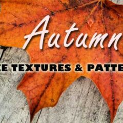 150+ Fall Backgrounds: Textures and Patterns