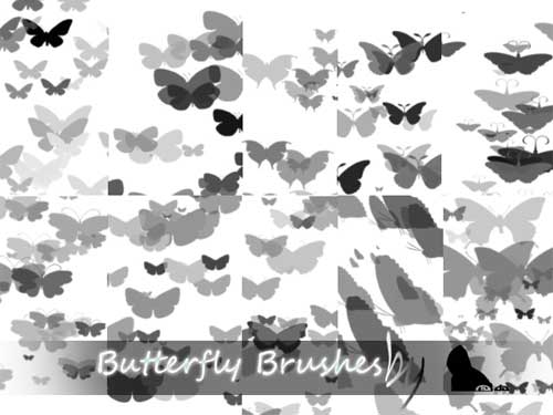download brush photoshop cs6 butterfly