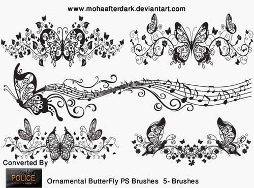 butterfly brushes