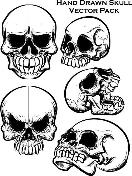 skulls clip art