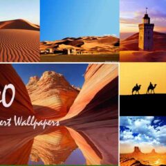 40 High-Definition Desert Wallpapers for Desktops