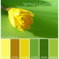 Spring Color Palettes: Floral Inspiration