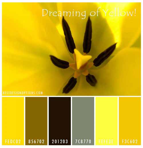 color me beautiful spring colors palette