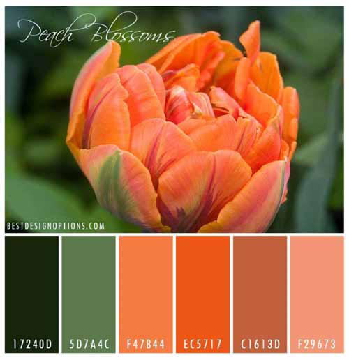 spring color palettes