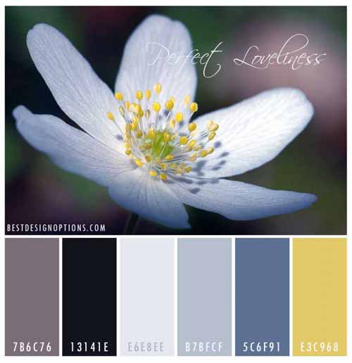 spring color palettes