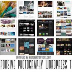 26  Eye-Catching But Free Responsive WordPress Portfolio Themes