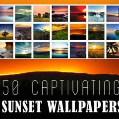 50 Free Captivating Sunset Wallpapers for Your Desktop