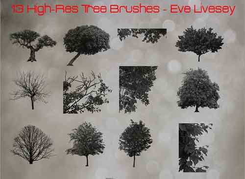 tree brushes photoshop