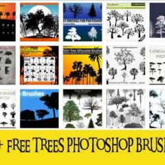 700+ Tree Photoshop Brushes for Nature Designs