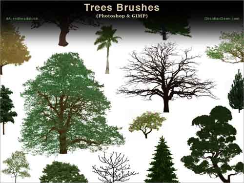 photoshop tree brushes