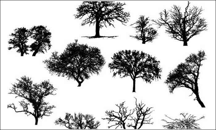 Download Tree Vector: 500+ Free Editable Illustrations to Download