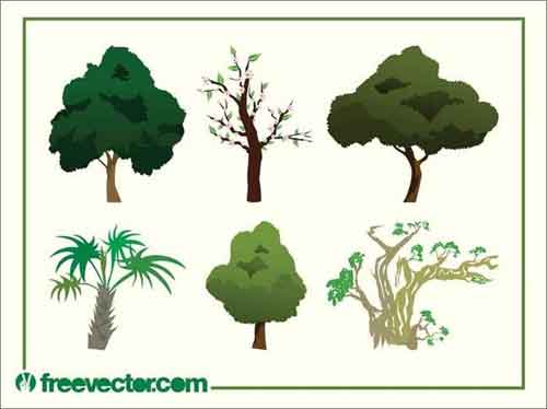 tree vector