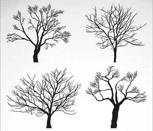 Tree Vector: 500+ Free Editable Illustrations to Download