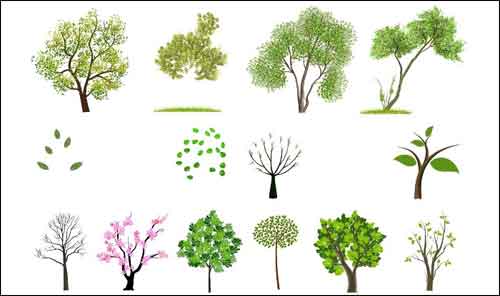 Download Tree Vector: 500+ Free Editable Illustrations to Download