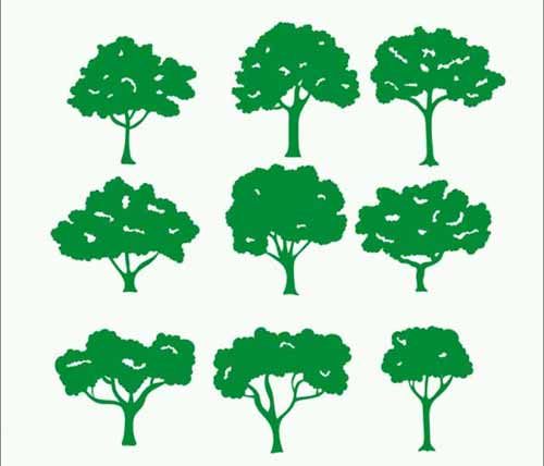 tree vector