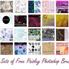 26 Sets of Free Paisley Photoshop Brushes to Download
