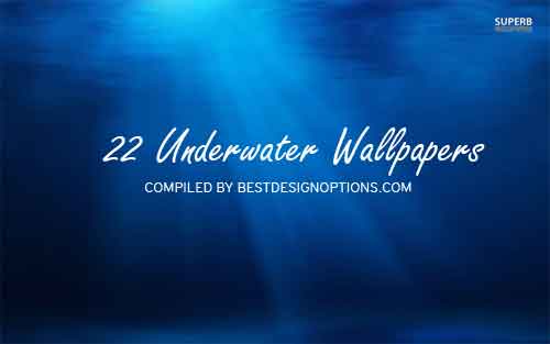 underwater wallpapers