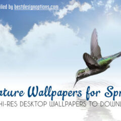 50 Free Nature Wallpapers Featuring Landscapes and Flowers