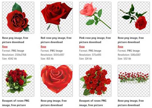 Flower PNG Files: 1K+ Free Transparent Flower Images