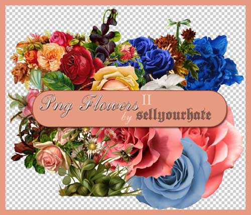 Flower PNG Files: 1K+ Free Transparent Flower Images