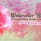 23 Rose Clip Art Graphics: Watercolor-Textured PNGs + PS Brushes