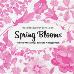 Spring Flowers Clip Art Brushes and PNG Images