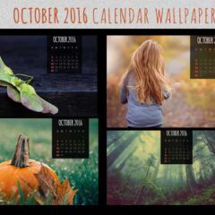 Free Calendar Wallpapers for October 2016